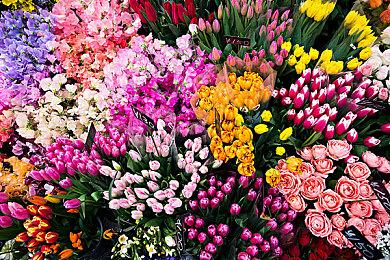 非典型赛车游戏《WHAT THE CAR?》9月5日发售 demo上线