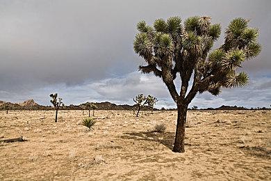 《战锤40K：Speed Freeks》发售日预告 8月6日发售